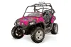 Polaris RZR 800 / 800S Graphic Kit - 2006-2010 Ed Hardy - Love Kills Pink