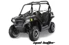 Polaris RZR 800 / 800S Graphic Kit - 2011-2014 Mad Hatter Black