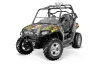 Polaris RZR 800 / 800S Graphic Kit - 2006-2010 Motorhead Mandy Silver