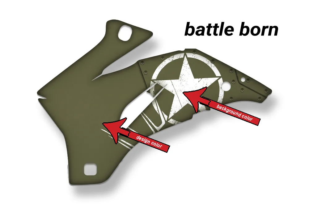 Battle Born design shown on a set of graphic panels